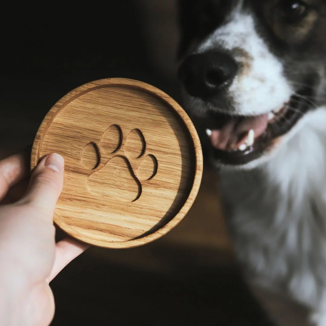 Drewniana podkładka z wyciętym śladem łapy, trzymana przed psem.