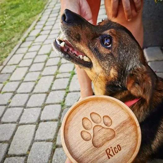 Pies z drewnianą podkładką z wygrawerowaną łapą i imieniem Rico.