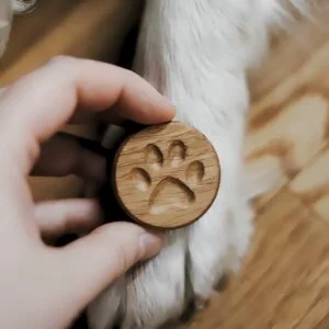 Drewniany magnes z wyciętą psia łapą trzymany nad białą sierścią