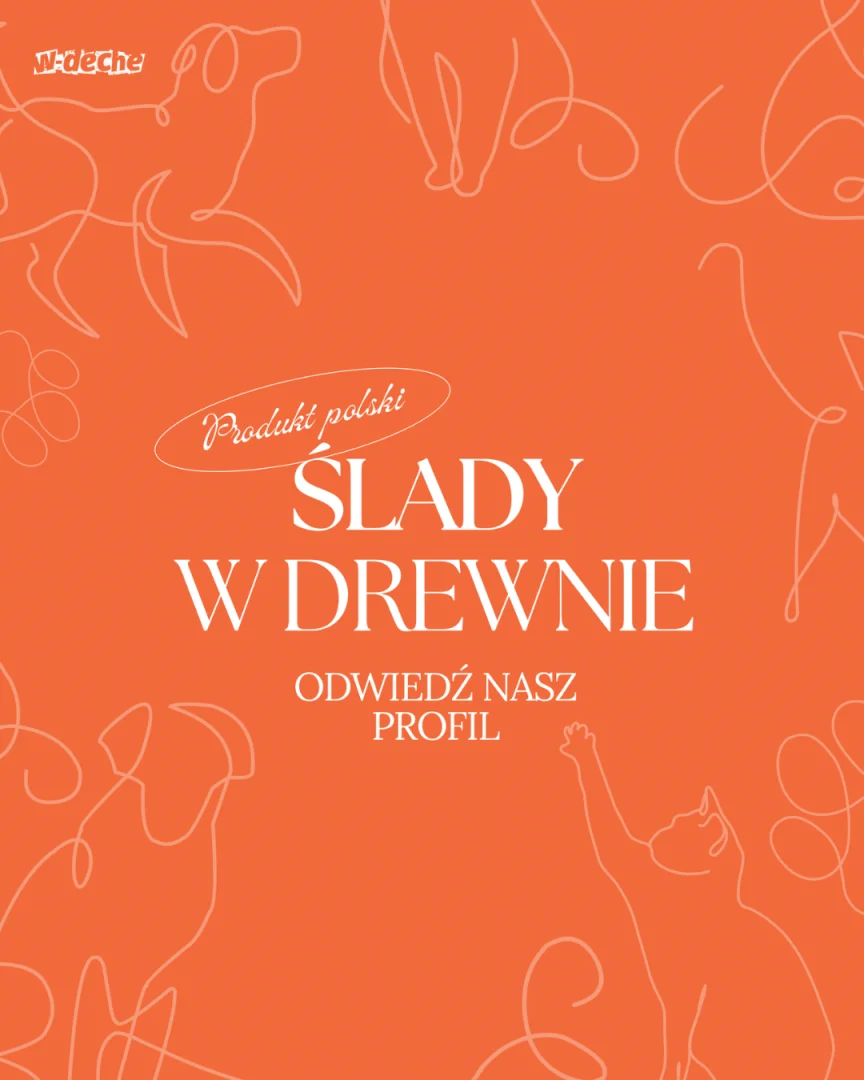 Pomarańczowa grafika z napisem 'Ślady w drewnie'.
